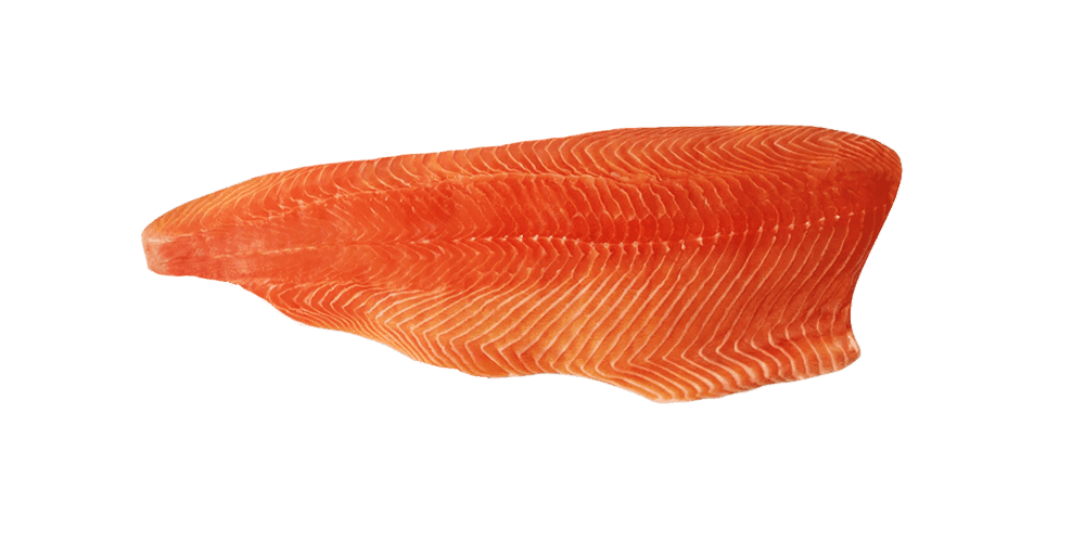 Rainbow Trout Fillet