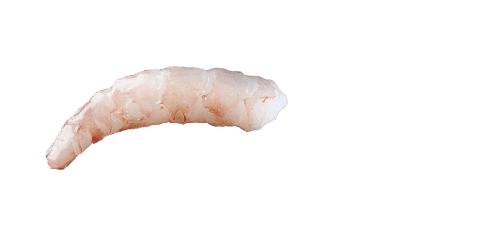 Vanamie Shrimp031